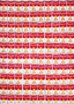 /album/galerie-de-photos/warhol-jpg/